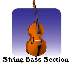 String Bass Section