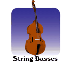 String Bass Section
