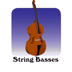 String Basses