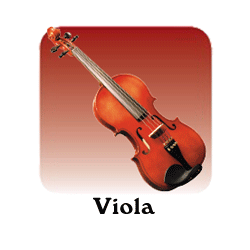 Viola Section