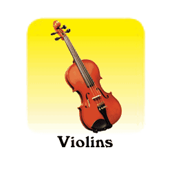 Violin Section