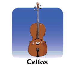 Cello Section