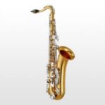 Yamaha YTS-200ADIIC Advantage Tenor Saxophone