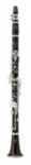 BC1131G-2-0 Buffet Crampon R13 Bb GL Professional Clarinet - Silver-plated keys