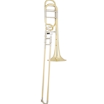 Eastman ETB828 Trombone • Key of Bb, .547” large bore tenor trombone
• 8.5" two-piece yellow or gold brass bell
• Open wrap with rotary valve in F
• Yellow brass handslide with nickel crook
• 3 interchangeable leadpipes
• Deluxe case w/storage pockets and backpack straps
• Shires USA 5MD mouthpiece