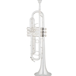 Eastman ETR824S Trumpet • Key of Bb, .459” medium large bore
• One-piece, standard weight, yellow brass bell
• Monel pistons
• Two-piece valve casings w/nickel-silver balusters
• Silver-plated
• Deluxe case w/storage pockets and backpack straps
• Shires USA 3C mouthpiece