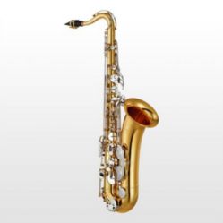 Yamaha YTS-200ADIIC Advantage Tenor Saxophone