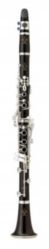 BC1131G-2-0 Buffet Crampon R13 Bb GL Professional Clarinet - Silver-plated keys