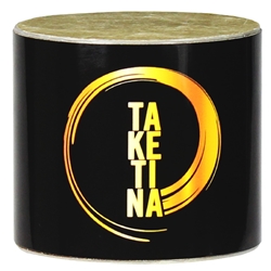 Remo SR-0202-81 Mini Shaker, 2-1/4"x2", Taketina Finish